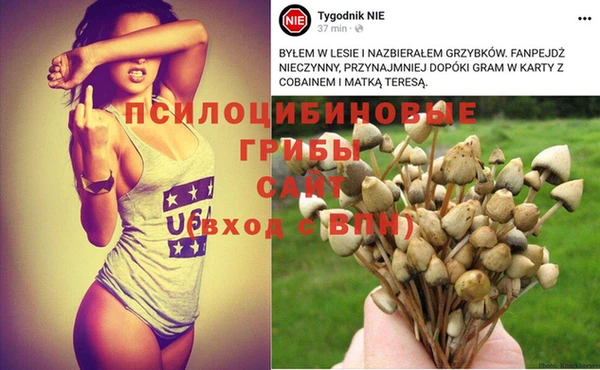mdma Дмитров