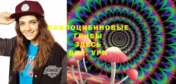 молекула духа Дмитриев