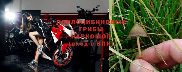 эйфоретик Гусиноозёрск