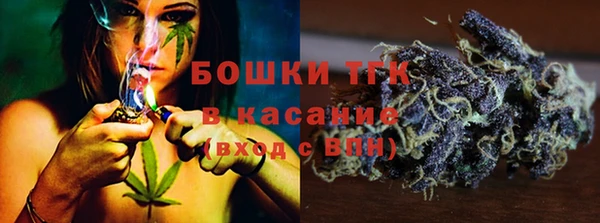 молекула духа Дмитриев